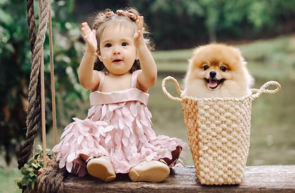 girl in a pink dress is sitting beside a Pomeranian in a bag