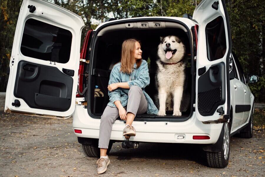 girl with dog sitting in the car